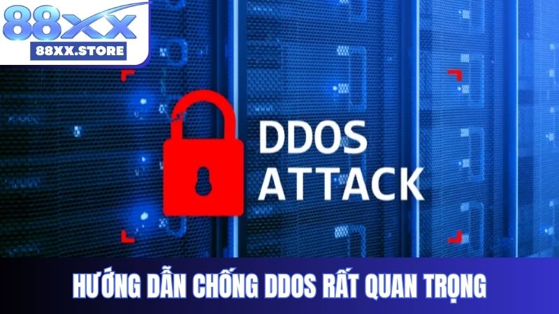 Hướng dẫn chống ddos rất quan trọng