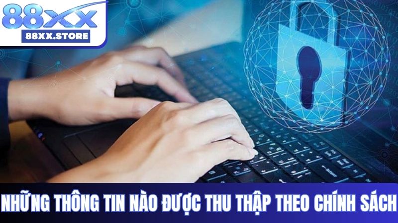 Những thông tin nào được thu thập theo chính sách